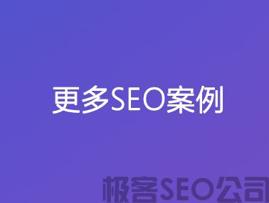 更多SEO案例